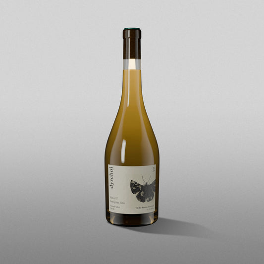 Souvignier Gris - Select 87